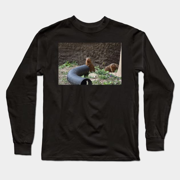 Mongoose Long Sleeve T-Shirt by MarieDarcy